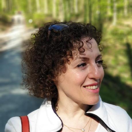 Webinar @ VAIA - Flanders AI EDIH HSI Talk